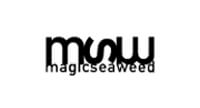 Magic Seaweed
